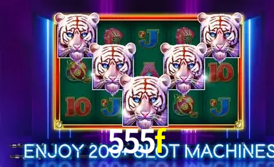 555f Brasília - Jogo Features